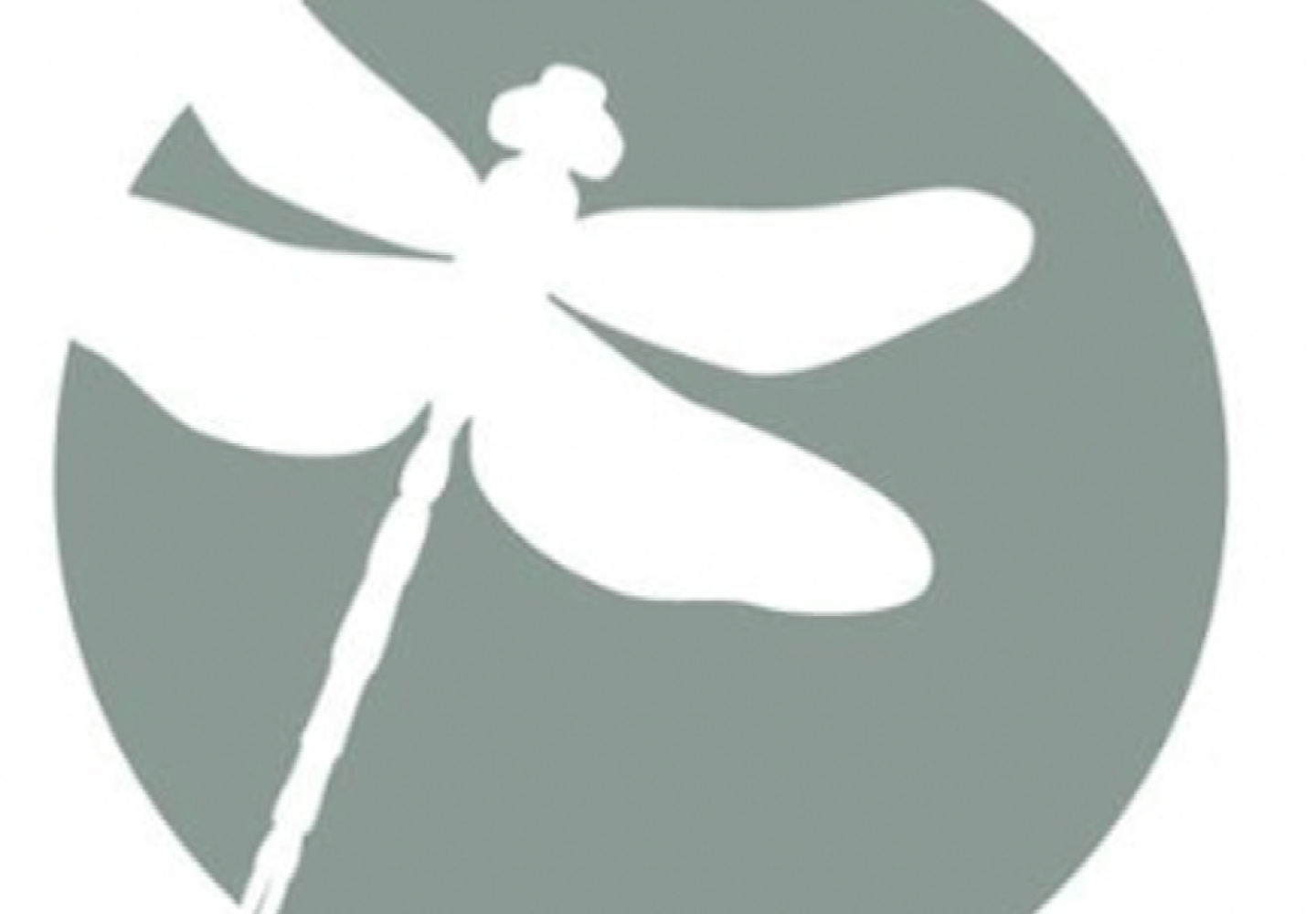 Logo, a silhouette of a dragonfly 